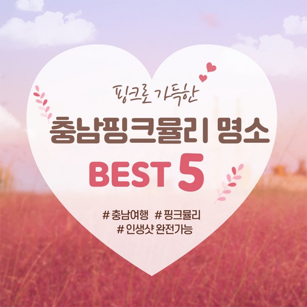 핑크로 가득한 세상 – 충남 핑크뮬리 명소 Best5 #충남여행 #핑크뮬리 #인생샷 완전가능